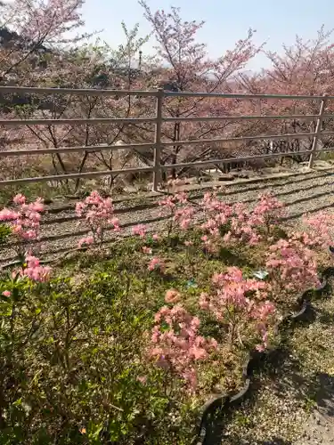 南法華寺（壷阪寺）の自然