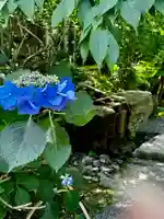 龍安寺(京都府)