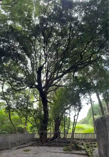 山宮浅間神社(静岡県)