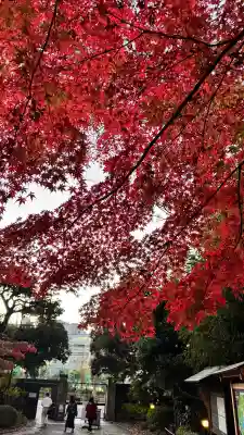 【閉業】小石川大神宮(東京都)