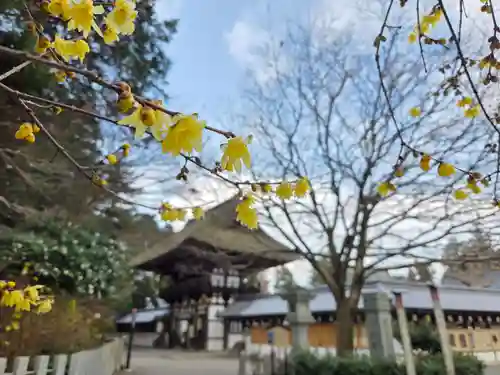 沙沙貴神社(滋賀県)