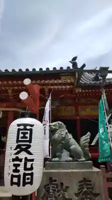 浅草神社の狛犬