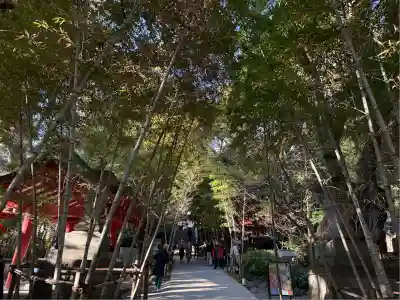來宮神社(静岡県)