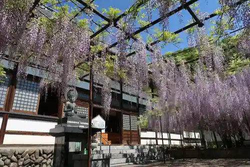 長泉寺の庭園