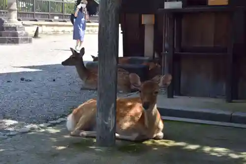 興福寺(奈良県)