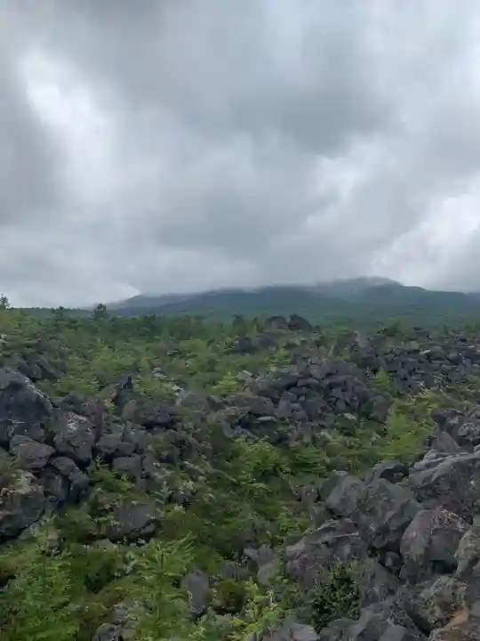 寛永寺別院浅間山観音堂の景色