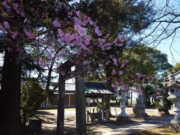 豊布都神社(埼玉県)