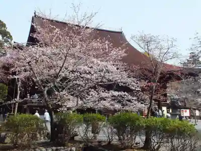 園城寺（三井寺）のその他建物
