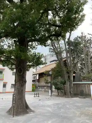 お三の宮日枝神社のその他建物