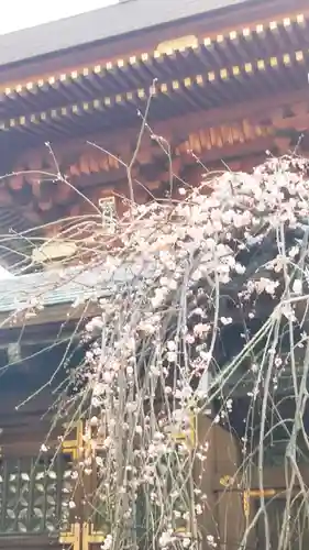 湯島天満宮の庭園