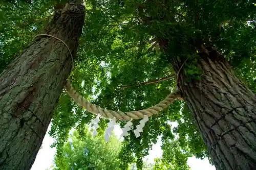 千住神社(東京都)