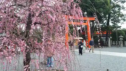 城南宮(京都府)