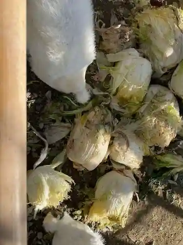 高屋敷稲荷神社(福島県)