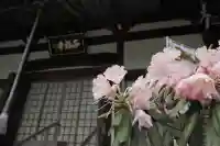 正福寺の{uncategorized: "未分類", other: "その他", undefined: "問題あり", building: "その他建物", grave: "お墓", sacred_gate: "鳥居", guardian: "狛犬", statue: "像", buddha: "仏像", history: "歴史", nature: "自然", garden: "庭園", animal: "動物", pagoda: "塔", temizu: "手水舎", mountain_gate: "山門・神門", sanctuary: "本殿・本堂", subordinate: "末社・摂社", art: "芸術", scenery: "景色", jizo: "地蔵", ema: "絵馬", goshuin: "御朱印", omikuji: "おみくじ", items: "授与品その他", amulet: "お守り", goshuincho: "御朱印帳", eats: "食事", festival: "お祭り", votive_dance: "神楽", shichigosan: "七五三参", wedding: "結婚式", experience: "体験その他", initially: "初詣", around: "周辺", anti_infection: "感染症対策"}