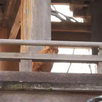 天王山 安楽寺(福井県)