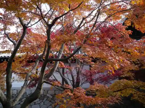 東福禅寺（東福寺）の庭園