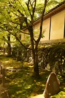 二尊院(京都府)