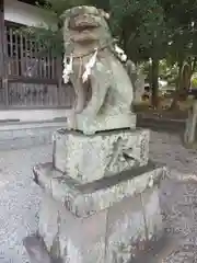 久米御縣神社の狛犬