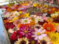 札幌諏訪神社の手水舎