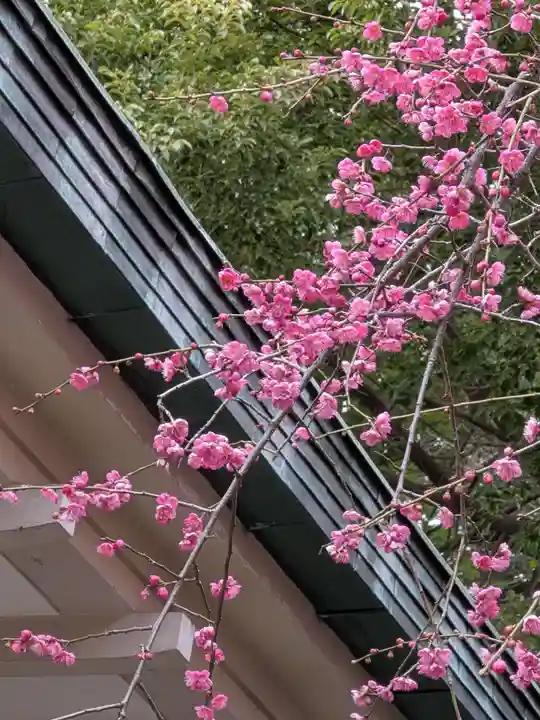 荻窪白山神社(東京都)