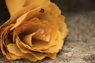 阿邪訶根神社の芸術