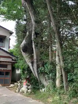 加波山普明神社(茨城県)