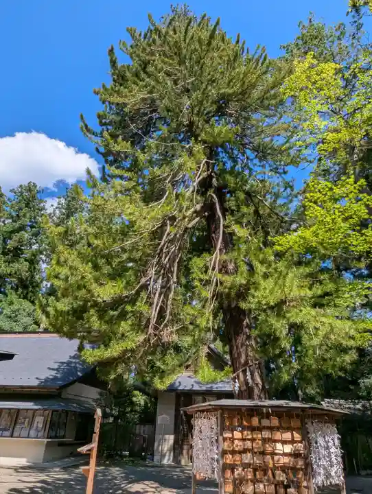 大崎八幡宮(宮城県)
