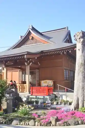 於菊稲荷神社の本殿