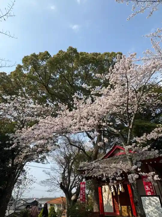 玉前神社の{uncategorized: "未分類", other: "その他", undefined: "問題あり", building: "その他建物", grave: "お墓", sacred_gate: "鳥居", guardian: "狛犬", statue: "像", buddha: "仏像", history: "歴史", nature: "自然", garden: "庭園", animal: "動物", pagoda: "塔", temizu: "手水舎", mountain_gate: "山門・神門", sanctuary: "本殿・本堂", subordinate: "末社・摂社", art: "芸術", scenery: "景色", jizo: "地蔵", ema: "絵馬", goshuin: "御朱印", omikuji: "おみくじ", items: "授与品その他", amulet: "お守り", goshuincho: "御朱印帳", eats: "食事", festival: "お祭り", votive_dance: "神楽", shichigosan: "七五三参", wedding: "結婚式", experience: "体験その他", initially: "初詣", around: "周辺", anti_infection: "感染症対策"}