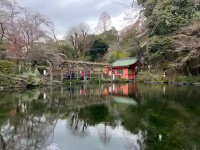 富士山本宮浅間大社(静岡県)