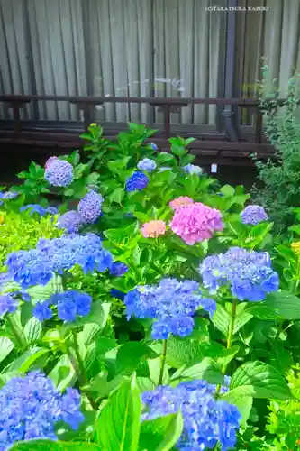 本郷氷川神社(東京都)