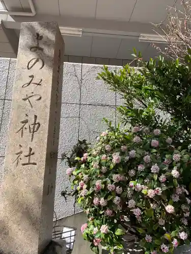 四宮神社の自然