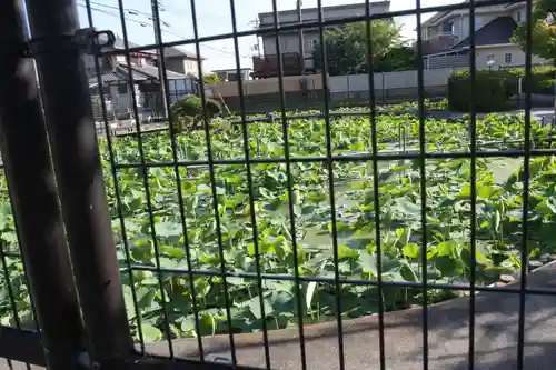 大日堂（近江妙蓮公園）(滋賀県)