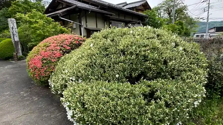 長泉院(埼玉県)