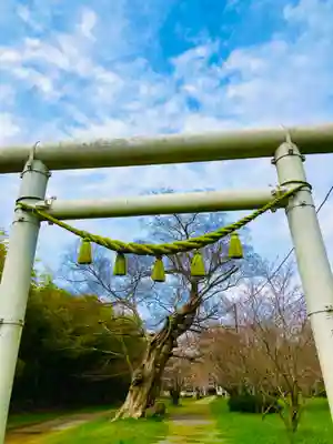 金村別雷神社(茨城県)