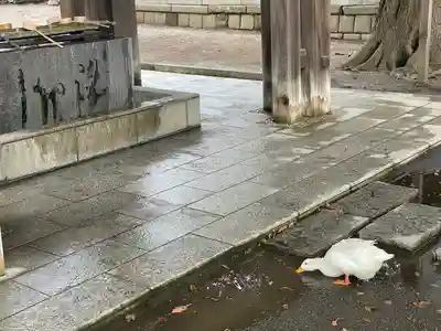 平塚八幡宮(神奈川県)