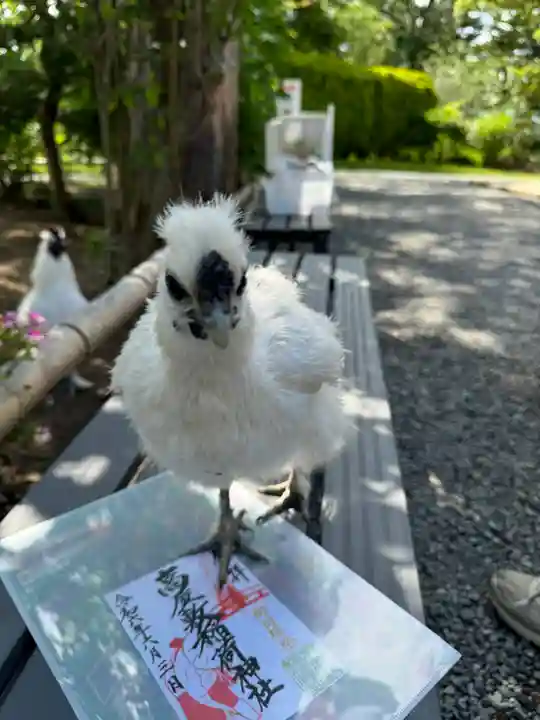 高屋敷稲荷神社(福島県)