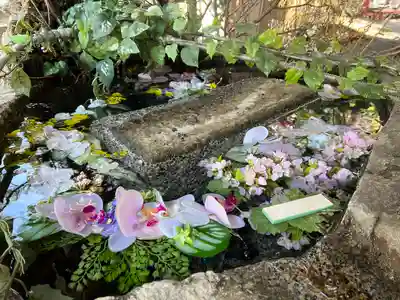 新倉富士浅間神社(山梨県)