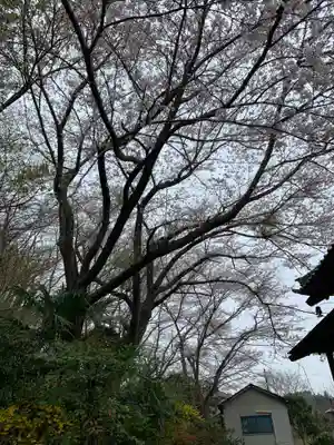 西定寺(千葉県)