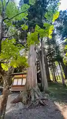 熊野神社(岩手県)