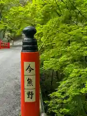 今熊野観音寺(京都府)