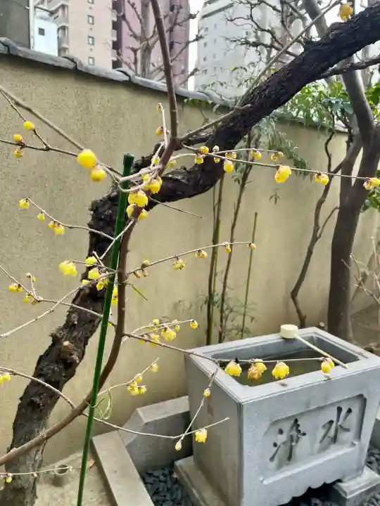 了源院の{uncategorized: "未分類", other: "その他", undefined: "問題あり", building: "その他建物", grave: "お墓", sacred_gate: "鳥居", guardian: "狛犬", statue: "像", buddha: "仏像", history: "歴史", nature: "自然", garden: "庭園", animal: "動物", pagoda: "塔", temizu: "手水舎", mountain_gate: "山門・神門", sanctuary: "本殿・本堂", subordinate: "末社・摂社", art: "芸術", scenery: "景色", jizo: "地蔵", ema: "絵馬", goshuin: "御朱印", omikuji: "おみくじ", items: "授与品その他", amulet: "お守り", goshuincho: "御朱印帳", eats: "食事", festival: "お祭り", votive_dance: "神楽", shichigosan: "七五三参", wedding: "結婚式", experience: "体験その他", initially: "初詣", around: "周辺", anti_infection: "感染症対策"}