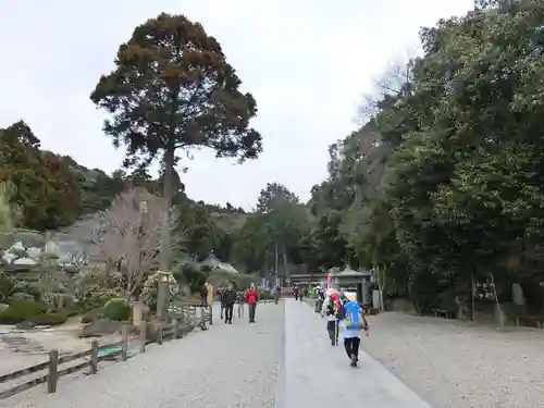 極楽寺の建物その他