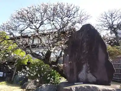 妙蓮寺のその他建物
