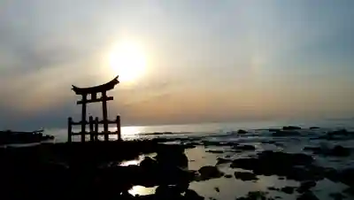 金比羅神社の鳥居