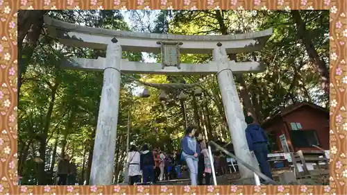 宝登山神社(埼玉県)