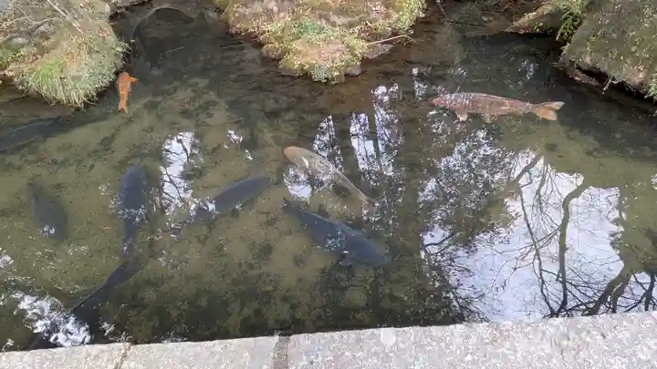 石山寺(滋賀県)