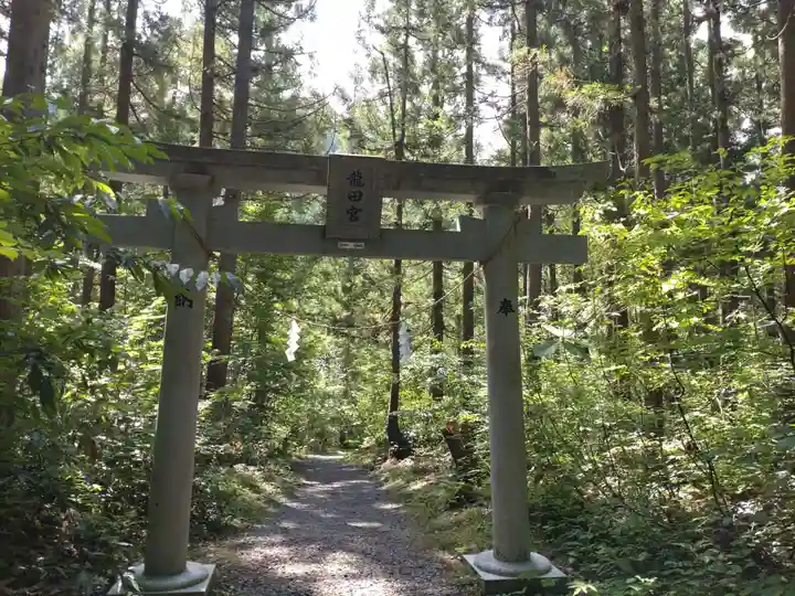龍ヶ窪神社(新潟県)