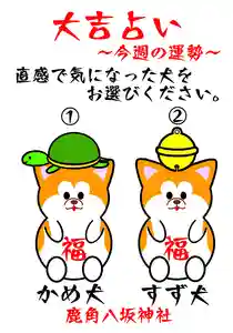 鹿角八坂神社(秋田県)(2021年07月05日(月) 04時52分33秒投稿)