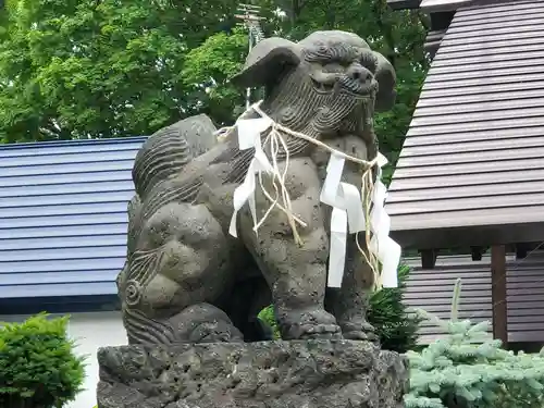 出雲神社の狛犬